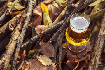 Beer in autumn forest