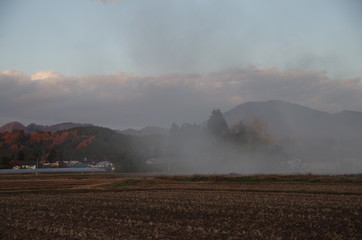 Fototapeta premium 田んぼの煙