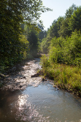 Fototapeta na wymiar River flowing through forest