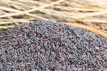 Thai Riceberry Rice on  wooden background