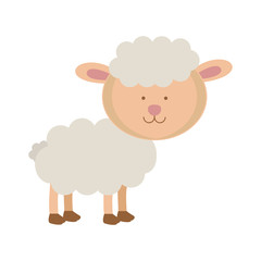 sheep animal icon image vector illustration design 