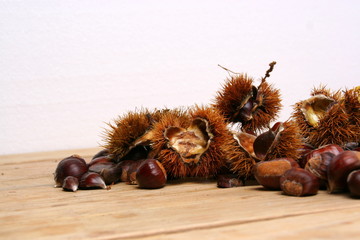 Esskastanien