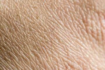 Human skin