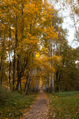 footpath in autumn Park