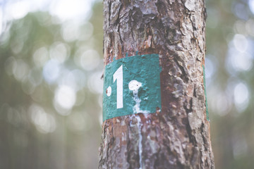 Naklejka premium colourful swirley bokeh tree marking