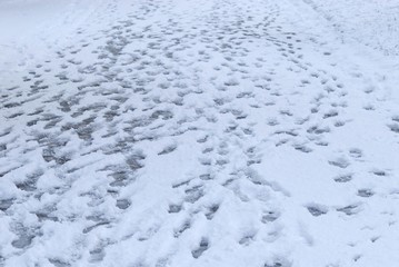 足跡./アスファルトに降った雪に着いた足跡です.