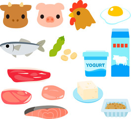 Fototapeta premium タンパク質を多く含む食品のイラストセット