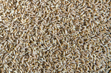 Spelt wheat cereal background. Healthy lifestyle concept.