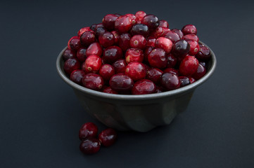 Fresh Red and Maroon Cranberries in Vintage Tin Ridged Food Mold with Berries Out of Dish Against a Black Background 