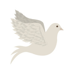 peace dove icon image vector illustration design 