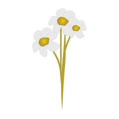 three flowers icon image vector illustration design 
