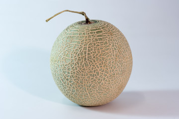 Melon or Cantaloupe fruit isolated on white background