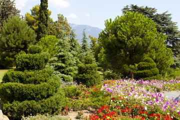 Coniferous park with flower bed