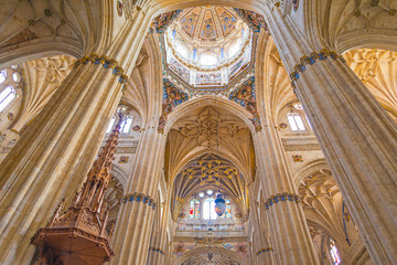Obraz premium Detail of the medieval cathedral of Salamanca