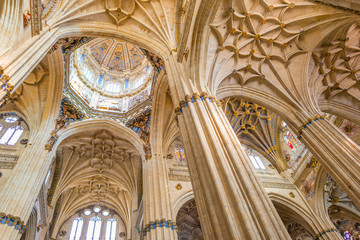 Detail of the medieval cathedral of Salamanca