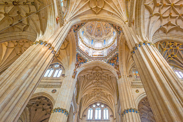 Detail of the medieval cathedral of Salamanca - obrazy, fototapety, plakaty