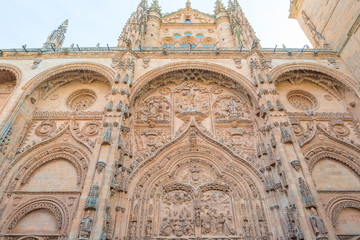 Obraz premium Detail of the medieval cathedral of Salamanca