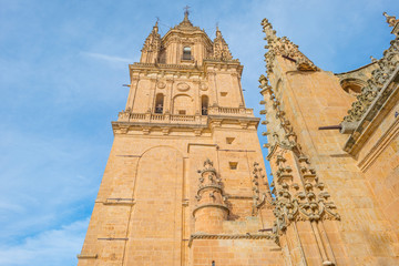 Fototapeta na wymiar Detail of the medieval cathedral of Salamanca