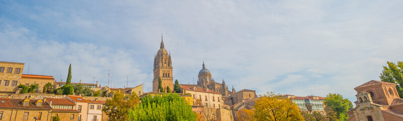Fototapeta na wymiar Skyline of the city of Salamanca