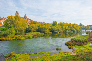 River through the city of Salamanca
