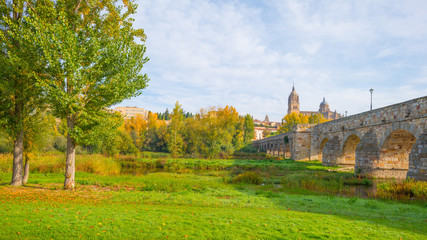 Fototapeta na wymiar Roman bridge in the city of Salamanca