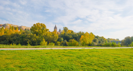 Obraz premium Park of the city of Salamanca