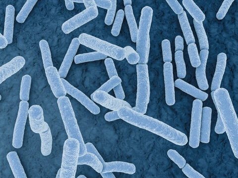 乳酸菌 画像 - 参照 11,375 Stock 写真、ベクターおよびビデオ | Adobe Stock