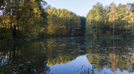 Lake with reflection of trees on water.