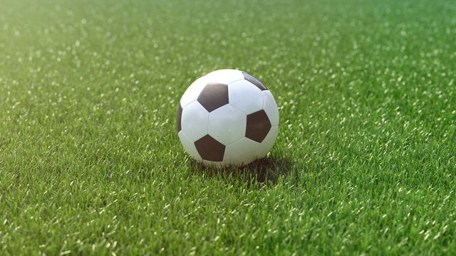 soccer ball in the grass field. 3d rendering