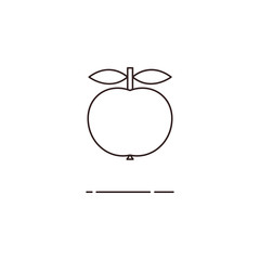 Vector illustration of thin line apple icon on white background