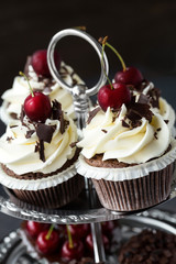 Fresh cupcake decorated with creamy vanilla cream.