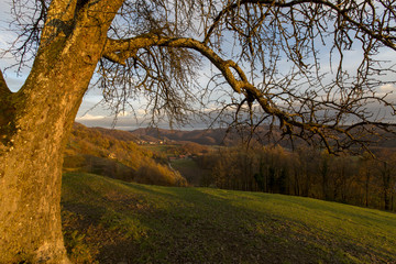 Fototapeta premium Sonnenuntergang in Brezice,Koprivnica,Slovenia
