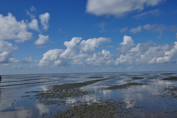 Wattenmeer