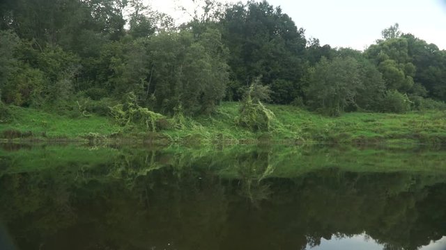 View of the coast of the river from the passing kayak.