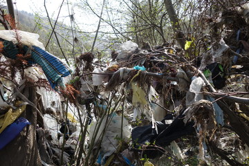 Rubbish on the river bank