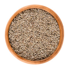 Anise seeds in a wooden bowl on white background. Edible dried fruits of Pimpinella anisum, also called aniseed, with strong sweet flavor. Isolated macro food photo close up from above.