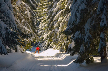 Cross-country skiing: young man cross-country skiing on a lovely sunny winter day