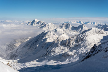 Fototapeta premium Skiing and Snowboarding in the winterly Stubai Alps