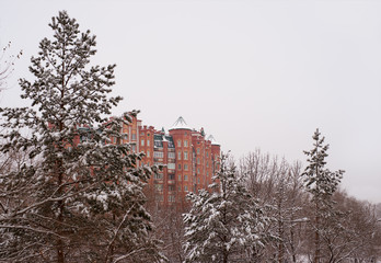 Многоэтажный дом в окружении высоких елей в снегу. Высокий кирпичный многоэтажный дом рядом с высокими еловыми деревьями в снегу. Город зимой.
