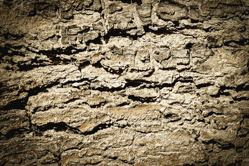 Wood grain texture for background use