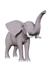 3D Rendering Elephant on White