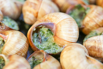 Escargot