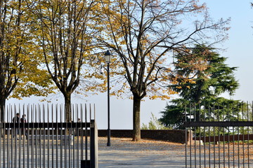 alberi autunnali dietro un cancello aperto