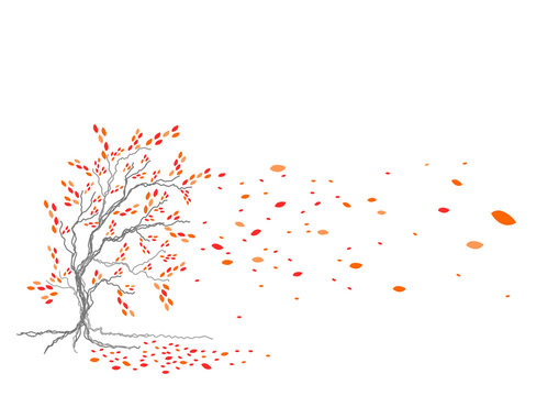 Baum im Herbst_2