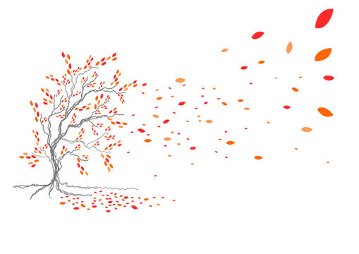 Baum im Herbst_1