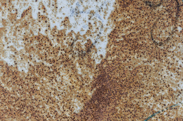 The old painted and rusted iron texture for background