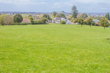 green trees in park, outdoor picture