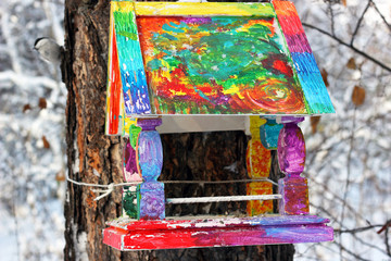 Colorful bird feeder in winter Park