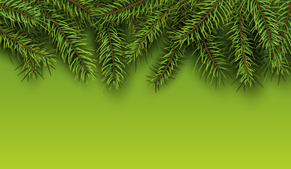 Christmas background with green fir tree