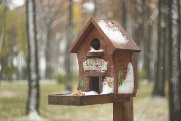 bird feeders
